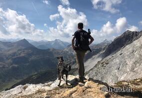 escursioni in montagna con il cane