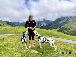 Andrea Norinelli, Reporterin