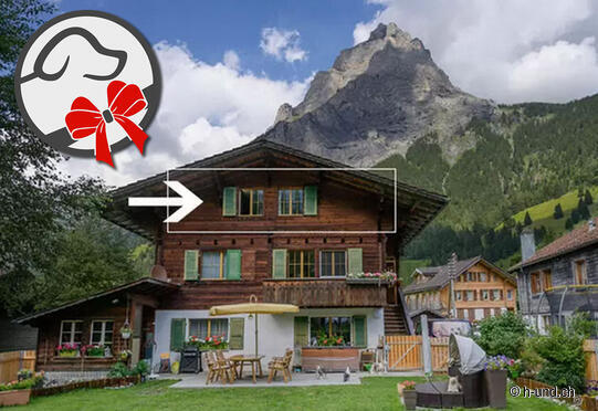 Alpenstube - Kandersteg