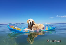 Vincitore del concorso fotografico estivo "Kiri