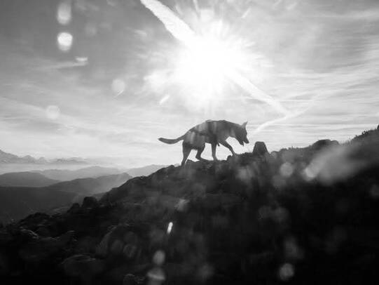 01. Didge, Pilatuskette