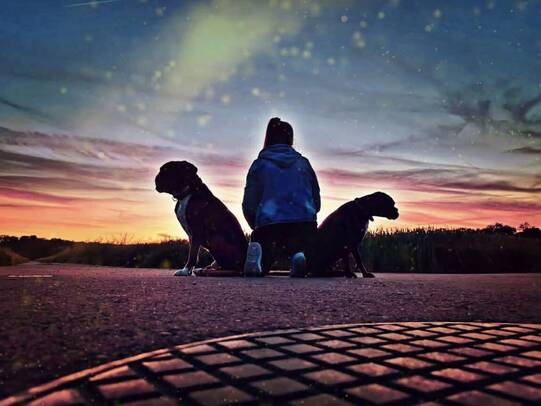 04. Dexter, Reinach (BL)/ Insta: azzuro_terrorzwerg