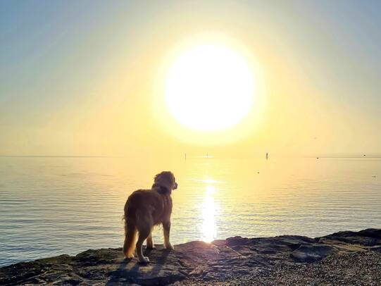 05. Mina, Romanshorn (TG)