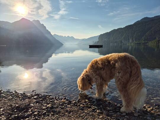 08. Bruni, Walensee (SG)