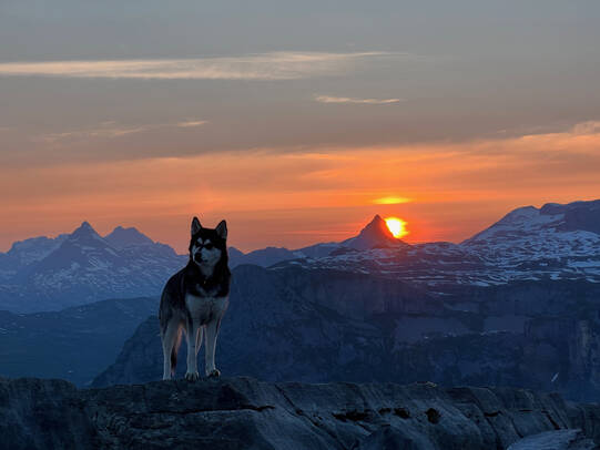 09. Caya, Klausenpass (GL/UR)