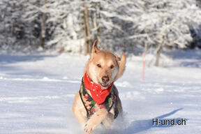 Patrick Bieber mit seinem Buddy