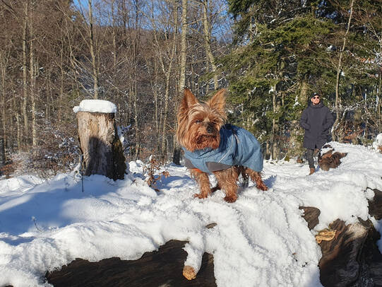 6.Nadja Fürst mit Tyson, Barmelweid (AG) /Insta:@_nadja_tigi