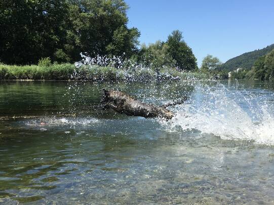 03. Alma Oetwil a.d. Limmat (AG)