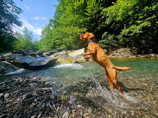 05.Eli, Melchtal (OW)/Insta: fabienneettlin