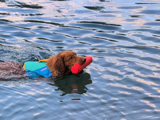 06.Chily, Caumasee (GR)/Instat: @chilythetoller