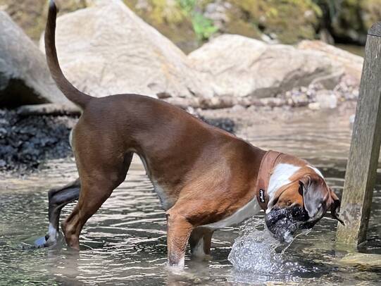 07.Donna Berta Unterägeri (ZG )/Insta: @bertadieboxerin