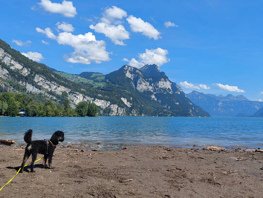 08. Enya, Weesen (SG)