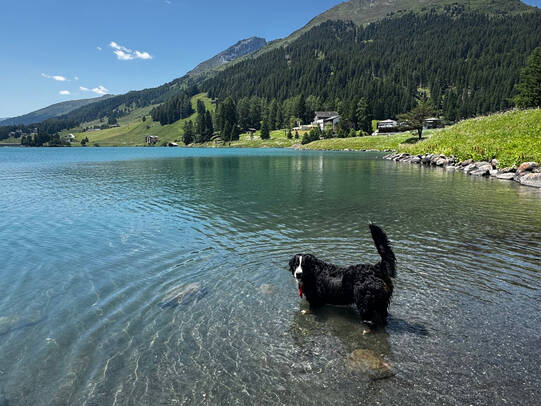 09.Shiva im Davosersee (GR)