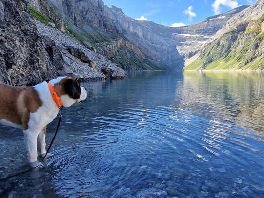 07. Loumi, am Limmerensee (GL) / Insta:swissbuddies