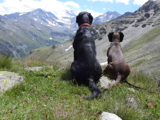 09. Olaf und Bora im Nanztal (VS)