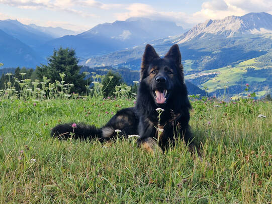 13.Raban, Sporz/Lenzerheide (GR)