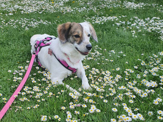 04. Candy, Zürich (ZH)