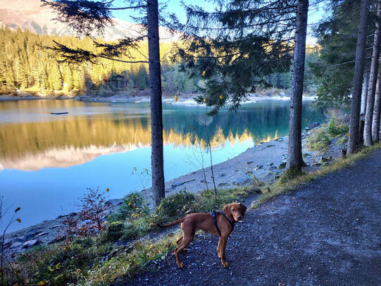 05. Yuna, Caumasee Flims (GR) / Instagram @cornelia.kiser
