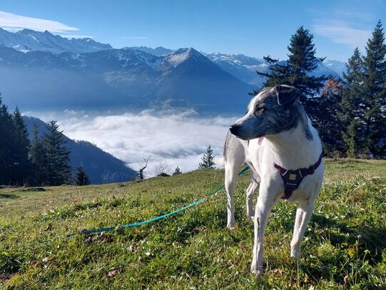15. Mala, Rigi (SZ) / Facebook @TamaraWäckerli