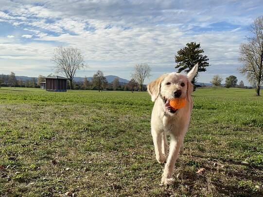 02. Mailo, Kloten ZH / Facebook @krebser.nicole / Instagram @nicole.mailo