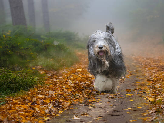 01.Sam, Wettingen (AG)