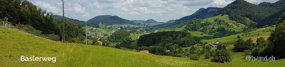 Baslerweg, Way of St. James with dog