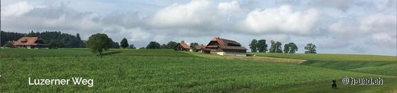 Luzerner Weg mit Hund