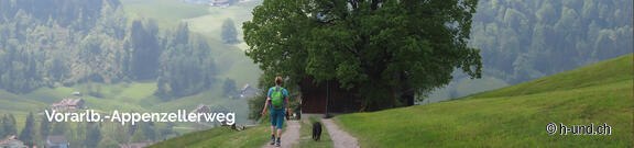 L'Autriche avec le chien