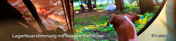 Campingplätze