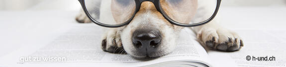 Consigli per gli esperti