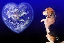 Spécial international