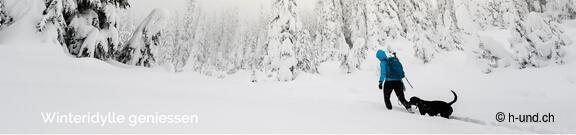 Escursioni sulla neve