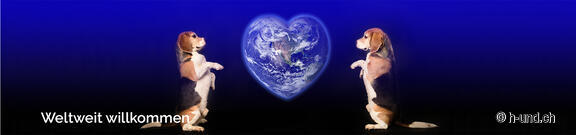 Speciale Internazionale