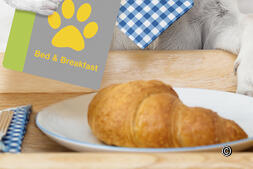 Bed &amp; Breakfast con cane: Vivere la Svizzera