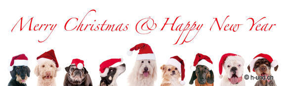 Projektunterstützung - Hilf mit