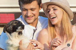 Camper Svizzera:esperienza con il cane