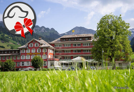 Hôtel Sternen