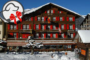 Swiss Lodge Hotel Bernerhof