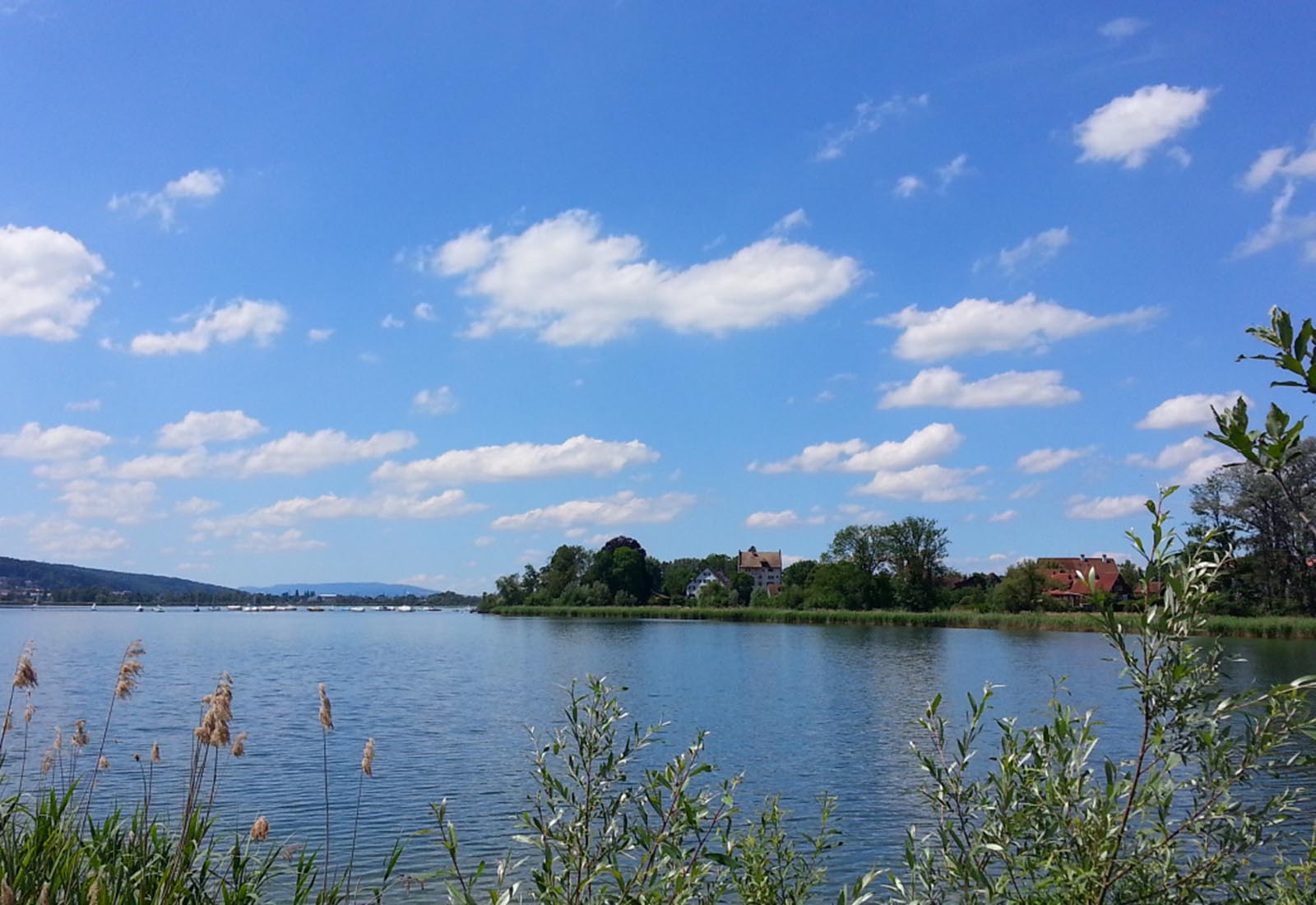 Greifensee