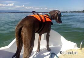 Indira hatte auch schon getestet :-)