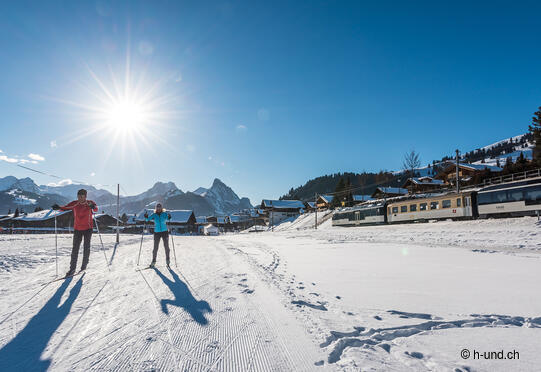 Hundeloipe in Gstaad