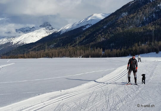 Hundeloipe Madulain - Zuoz