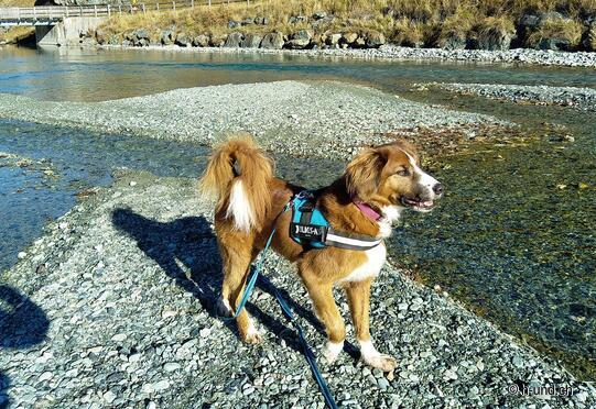 Bivio vor dem Julierpass