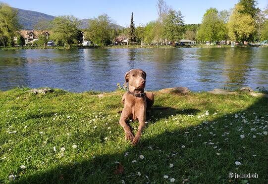 Aire de repos Wangen an der Aare