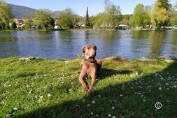 Rastplatz Wangen an der Aare