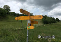 Amsoldingen Romont mit Hund