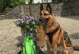 Well-deserved break from Onyx