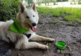 Pausa nella fresca valle di Chaltbrunnen
