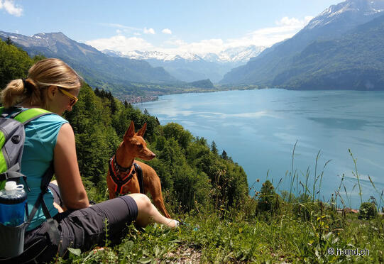 Brienzwiler-Interlaken