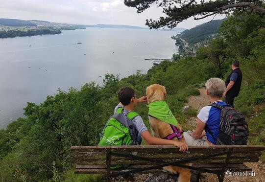 Biel - La Neuveville